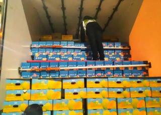 高速收費站嚴厲打擊假冒綠色通道車輛，保障政策落實